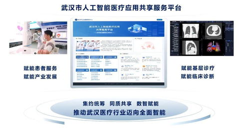 數(shù)智賦能 健康先行 武漢構(gòu)建智慧高效醫(yī)療服務(wù)新格局