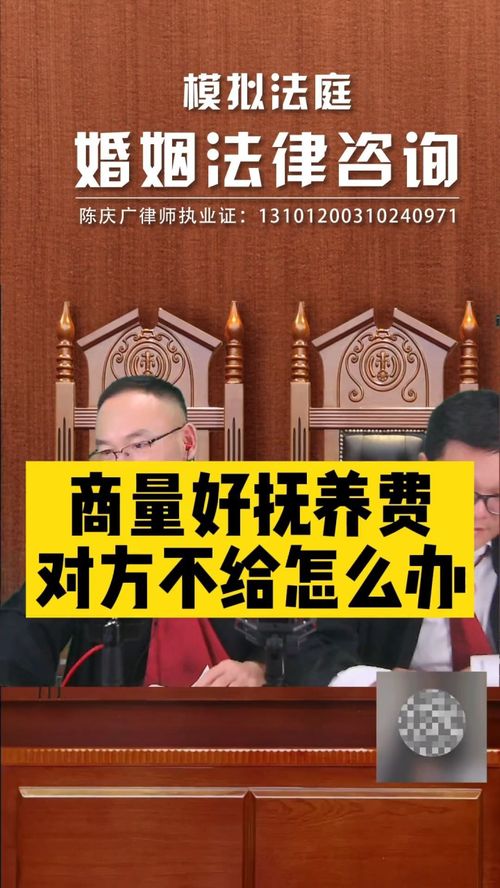 撫養費協商后對方拒不支付，法律途徑如何維權？